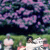 Article image for: <i class="tbold">Kapil Dev</i>