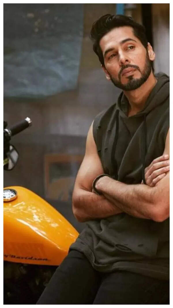 Dino Morea