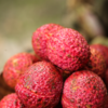 Anti-Inflammatory