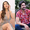 On Avinash participating in the show