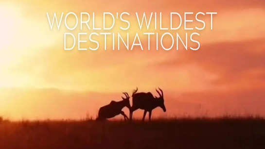 World's wildest destinations!