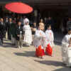 Article image for: Shinto <i class="tbold">wedding ceremony</i>