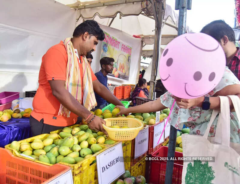 The unlimited ways of savouring mangoes