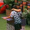 ​Junaiz's brother came 'out of a box'​