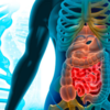 ​What time do people commonly poop?​