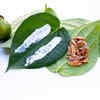 ​​Boosts digestion​