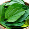 ​​Why Betel leaves?​