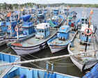 ​Goa's annual fishing ban begins for 60 days