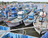 ​Goa's annual fishing ban begins for 60 days