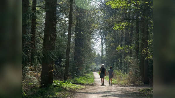 Nature connection