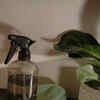 Article image for: Consider an air purifier