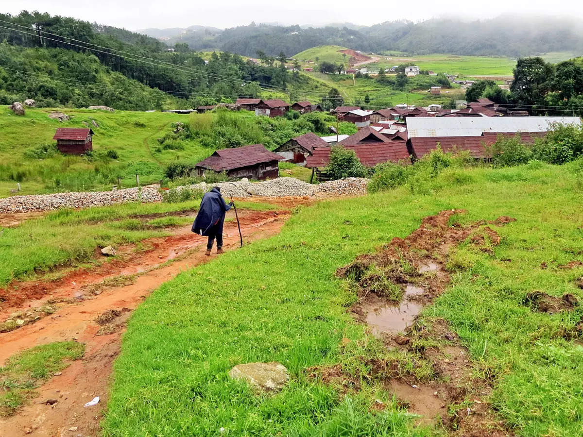 Whistling Village, where everyone has a tune for their name, Meghalaya - Times of India Travel