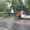 Tree uprooted at Firozeshah Road in Delhi due to heavy rainfall