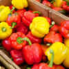 Bell Peppers