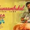 Article image for: Nadhikalil <i class="tbold">sundari</i> Yamuna | Song - Puthunaambukal