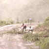 Article image for: HP: <i class="tbold">landslide</i> near Gambrola Bridge in Bilaspur halts traffic movement amid incessant rain