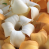 Article image for: <i class="tbold">ketaki</i> flower