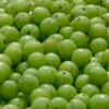 Article image for: <i class="tbold">indian gooseberry</i> (Amla)