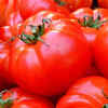 Article image for: Delhi-NCR to Get Tomatoes at Discounted Rates