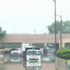 Trucks stuck under Delhi's Loha Bridge as water from overflowing Yamuna river inundates underpass.
