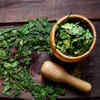 Neem (Azadirachta <i class="tbold">indica</i>)