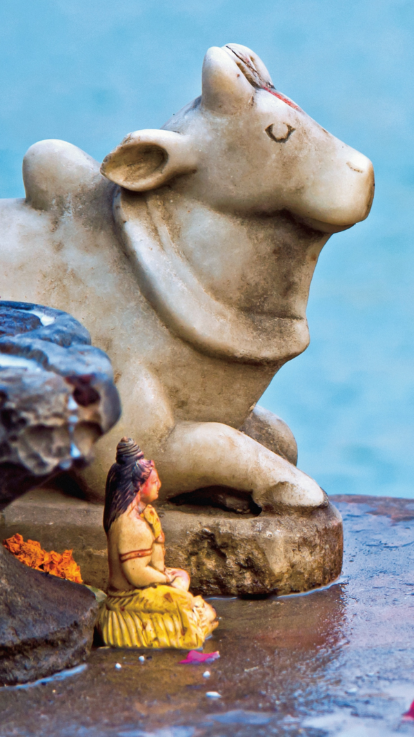 Nandi Images