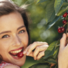 Article image for: Cherries can lower the uric acid