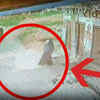 Article image for: Two women steals cow water dispenser in Agra