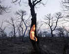 ​Uncontrollable wildfires intensify across Greece​