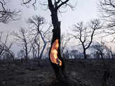 ​Uncontrollable wildfires intensify across Greece​