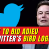Article image for: Elon Musk to bid adieu to Twitter’s iconic bird logo? Shocks internet with another tweet