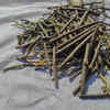 Giloy