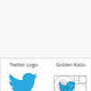 Evolution Of Twitter Logo