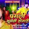 Article image for: Watch Latest Bhojpuri Bhakti Song Pagli Bhukheli Somari Sung By Vicky Raja Veera