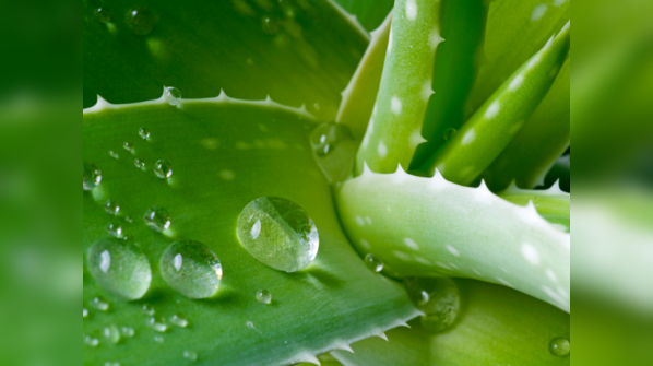 Aloe Vera Juice