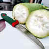 Article image for: <i class="tbold">bottle gourd</i> seeds