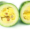 Parwal seeds