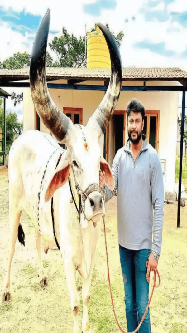 Darshan