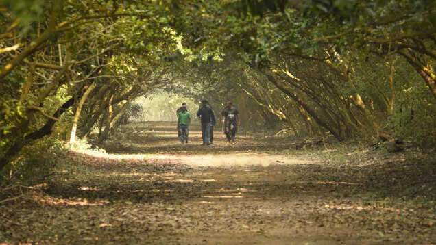 Odisha: Bhitarkanika National Park reopens for visitors; important things to remember