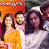 ​Aniyathipravu​