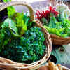 Article image for: <i class="tbold">leafy greens</i>