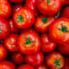 ​​Tomatoes​