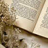 Article image for: Books that influenced '<i class="tbold">the hunger games</i>'