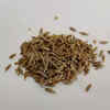 ​​Blood Sugar Regulation​