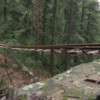 Article image for: Section of Kalka-Shimla railway track left hanging after landslide as rains wreak havoc
