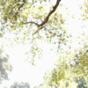 Article image for: Setu Bandhasana