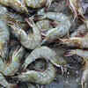 This is the right way to choose and clean Prawns before cooking