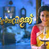 Article image for: <i class="tbold">kudumbavilakku</i>