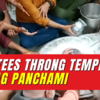 Article image for: Devotees throng to Mahakaleshwar temple for darshan of Lord Nagchandreshwar on Nag Panchami