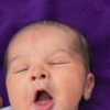 <i class="tbold">aniket</i>